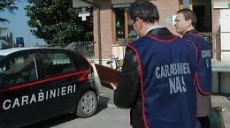 Noto, pascolo abusivo, sequestrati 42 bovini