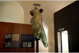 Quando Matteo Messina Denaro voleva rubare (e rivendere) il Satiro Danzante
