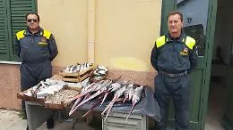 Palermo, sequestrati 66 chili di pesce non &ldquo;tracciabile&rdquo;