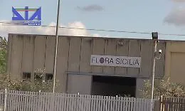 Vittoria, &ldquo;trafficava&rdquo; droga tra Sicilia, Olanda, Lazio e Calabria: sequestrati 20 milioni ai Cilia