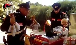 Licata, i &ldquo;botti&rdquo; in garage e in cucina, arrestato un impiegato