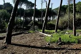 Catania, vandali al boschetto della Plaia: distrutti i servizi igienici