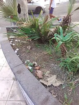 Catania, "Povera citt&agrave; abbandonata!"