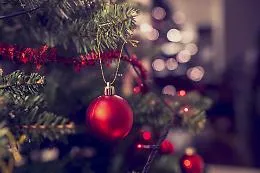 Natale, albero o presepe? Che fatica i preparativi della festa!