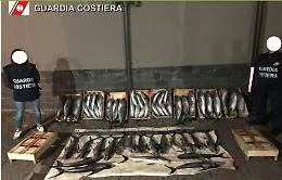 Sei tonnellate di pesce non tracciato sequestrate nel Catanese