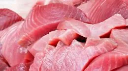 San Vito Lo Capo, sequestrati 12 tonni rossi non tracciabili: 1.800 kg e multa al conducente di un furgone