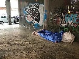Catania: topo morto in strada e mai rimosso.