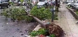 Vento a 95 chilometri all'ora e forti piogge, domani a Palermo chiusi scuole, ville e cimiteri