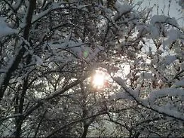 Domani il solstizio d'inverno, in Sicilia un'ora di sole in pi&ugrave; rispetto al Nord