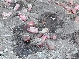 Caltanissetta, bottiglie con acido muriatico nel parco Dubini