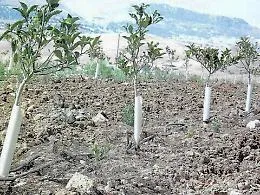 Enna: truffe, sequestrati beni per 200 mila euro