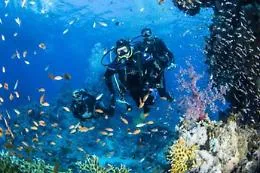 Sicilia protagonista del turismo subacqueo, ddl per un albo dei centri immersione