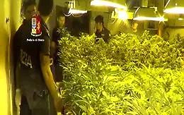 Catania, in un capannone abbandonato una piantagione con 2500 piante di marijuana