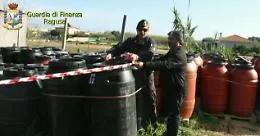 Ragusa, topi morti tra peperoni e melanzane Sequestrate 70 tonnellate di prodotti alimentari