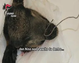 Palermo, blitz Monte Reale, le minacce