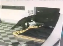 Palermo, il clochard &egrave; stato bruciato vivo: caccia all'assassino ripreso dalla videosorveglianza