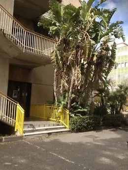 Preoccupazione alla Pizzigoni per albero di banane da potare