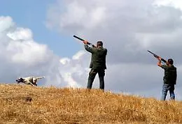 Caccia, l'inizio della stagione il 18 settembre: la conferma dal Tar Sicilia