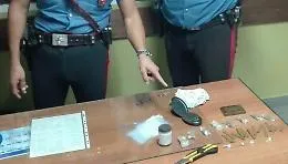 Palermo, nel maneggio oltre ai cavalli c'era anche la droga