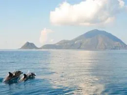 Un progetto per difendere Pino e gli altri 41 delfini delle Eolie