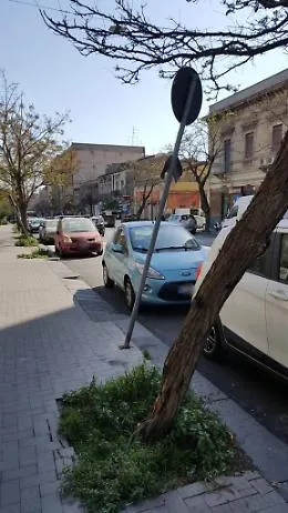 Alberi e pali della segnaletica pericolosi in viale M. Rapisardi a Catania