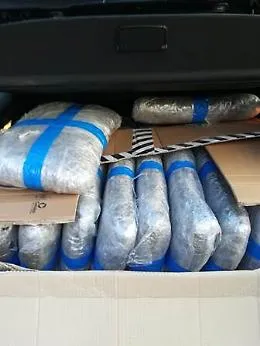 Fermati con 70 kg di marijuana
Serviva a rifornire la movida catanese