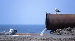 Ecomafie, la commissione d'inchiesta in Sicilia: depuratori nel mirino