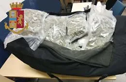 Gela: nel cofano 4 kg di marijuana
ed in casa alcuni dosi di cocaina