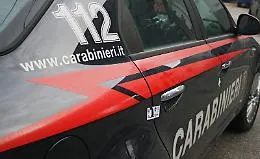 Cane senza guinzaglio aggredisce il vicino: l'uomo spara due colpi di pistola e lo ferisce