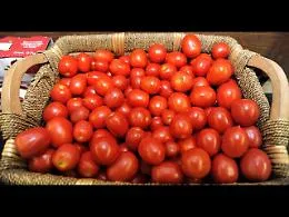   Sotto inchiesta a Brescia Il  lotto di pomodori  prodotti a Gela e ritirato dal  Ministero  