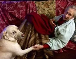 Festa dei nonni
