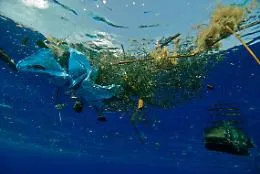 Uno studio su Nature: il Mediterraneo &egrave; diventato una &ldquo;zuppa&rdquo; di microplastiche