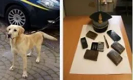 Agrigento, scende dal pullman e il cane antidroga &ldquo;fiuta&rdquo; l'hashish: arrestato
