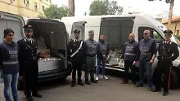 Pesce non tracciabile: 450 chili sequestrati al Mercato del Capo