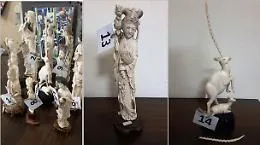 Catania, sequestrate a un antiquario 14 statuette di avorio &ldquo;fuorilegge&rdquo;