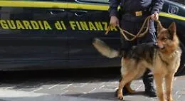 Narcotraffico con Spagna e Sud America, arrestato anche un palermitano