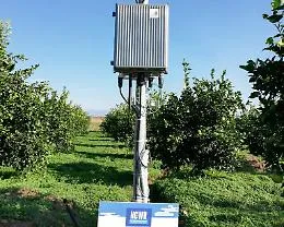 Risparmio dell'acqua in agrumicoltura e &ldquo;tetti verdi&rdquo;: con NCWR due progetti hi-tech per Catania