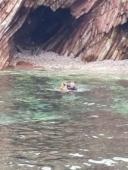 Terrasini: salvato cucciolo di cane dalle acque gelide del golfo dagli uomini della Capitaneria di Porto