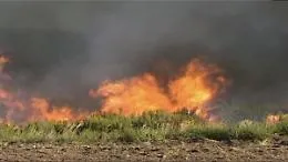 A fuoco il terreno coltivato a grano confiscato alla mafia