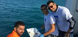 Porto Empedocle, liberate in mare otto tartarughe Caretta caretta