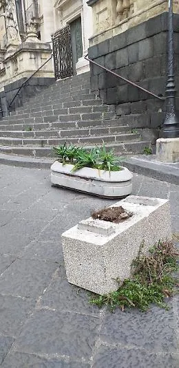 Catania: scempio vandalico delle fioriere in via Crociferi