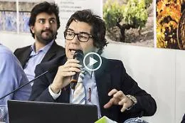 La Viticoltura sempre pi&ugrave; 2.0 Ecco cosa fanno le aziende siciliane