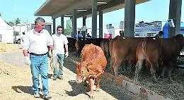 Ragusa, a rischio la Fiera agroalimentare mediterranea: &laquo;C&rsquo;&egrave; un silenzio assordante&raquo;