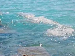 Ragusa, il &laquo;giallo&raquo; del mare, analisi in regola ma la schiuma c'&egrave;