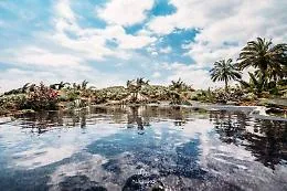 Al Radicepura Garden Festival la natura si fa arte: ecco il turismo green