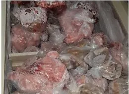 Catania, blitz dei vigili nella zona di in via Plebiscito: sequestrate carne e verdure