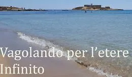 &ldquo;Vagolando per l'etere infinito&rdquo;: quando i commenti sui social diventano un libro