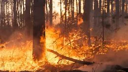Incendi nel Parco delle Madonie: dal satellite la mappa del fuoco e dei danni