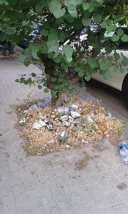 Catania: aiuole piene di rifiuti in via Mogadiscio