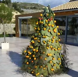 Un albero di Natale realizzato con pale di fico d'india e arance